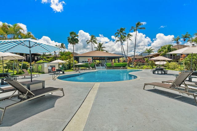 view of swimming pool with a patio area