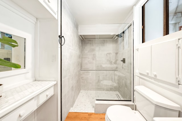 bathroom with vanity, a tile shower, and toilet