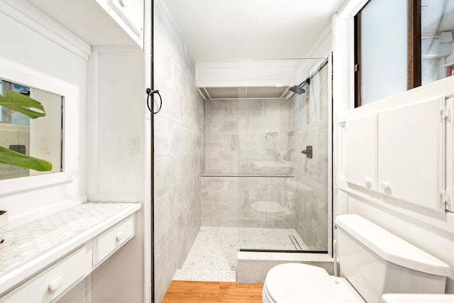 bathroom featuring a shower stall and toilet