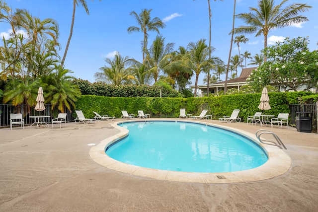 view of pool featuring a patio