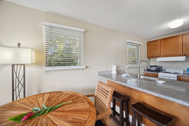 kitchen with hardwood / wood-style floors, electric range, sink, a breakfast bar area, and a textured ceiling