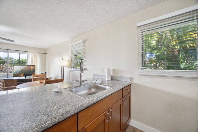 kitchen with a textured ceiling, a wealth of natural light, and sink