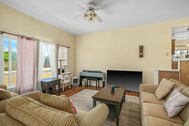 living room with ceiling fan and hardwood / wood-style flooring