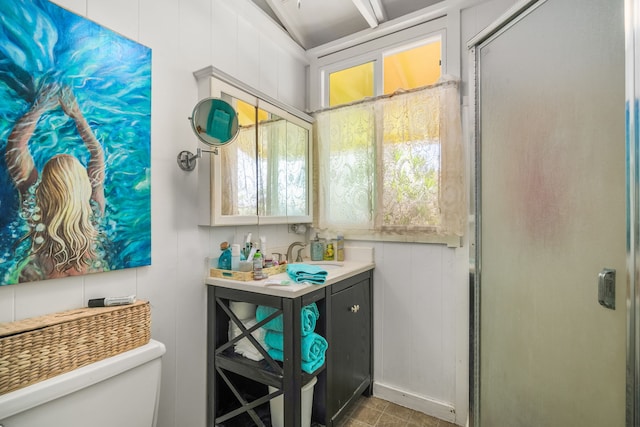 bathroom featuring vanity, toilet, and a shower with shower door