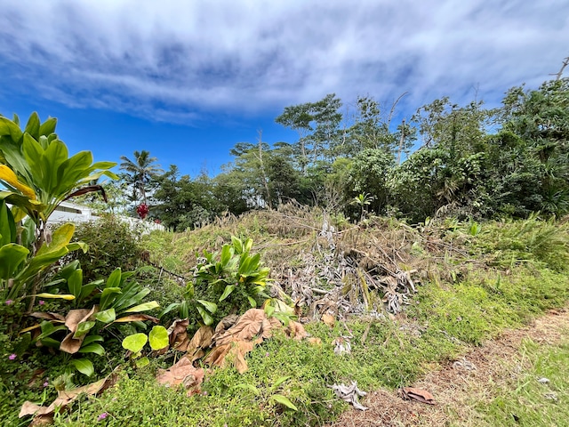 Listing photo 2 for Nenue St, Pahoa HI 96778