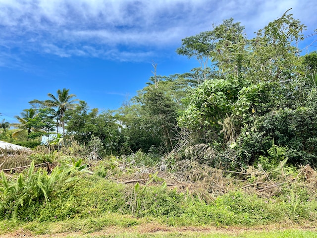 Listing photo 3 for Nenue St, Pahoa HI 96778