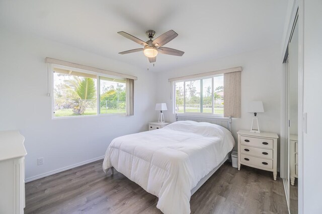 bedroom with multiple windows, a closet, ceiling fan, and dark hardwood / wood-style floors