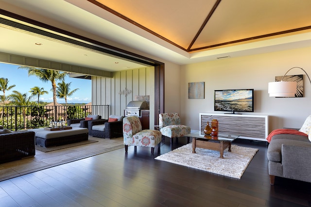 living room featuring dark wood-type flooring