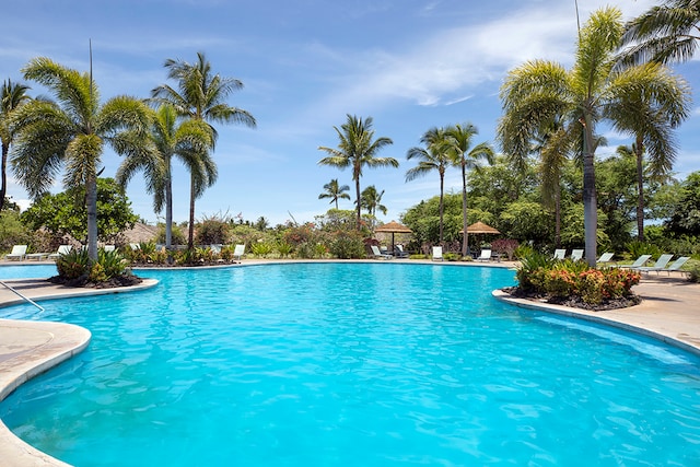 view of swimming pool with a gazebo