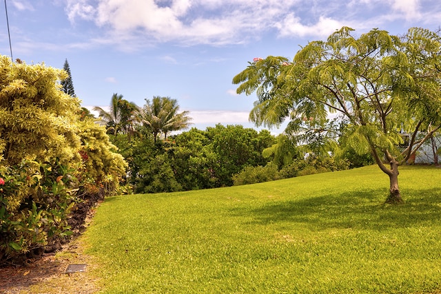 315 Kanoelani St, Hilo HI, 96720 land for sale