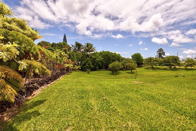 Listing photo 3 for 315 Kanoelani St, Hilo HI 96720