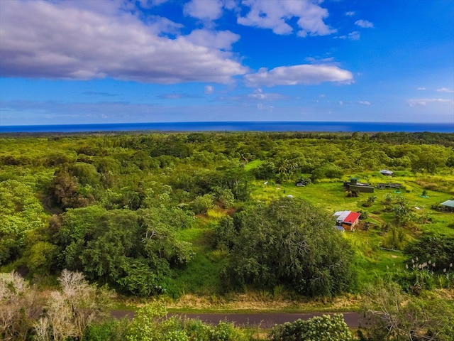 13-933 Kamaili Rd, Pahoa HI, 96778 land for sale