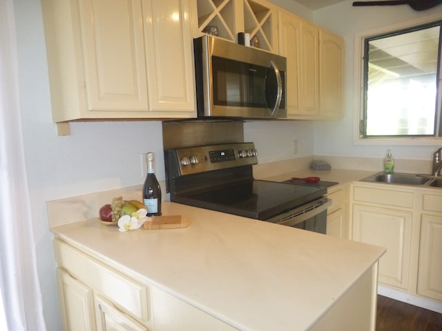 kitchen with sink, appliances with stainless steel finishes, and dark hardwood / wood-style floors