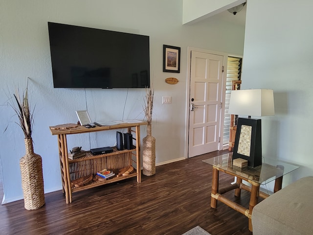 living room with wood-type flooring