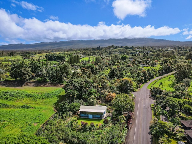 drone / aerial view with a mountain view and a view of trees