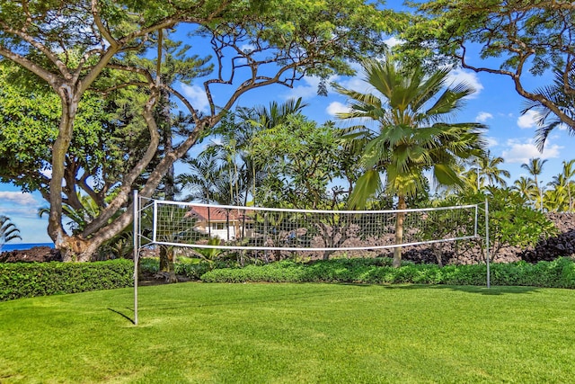 surrounding community with a lawn and volleyball court