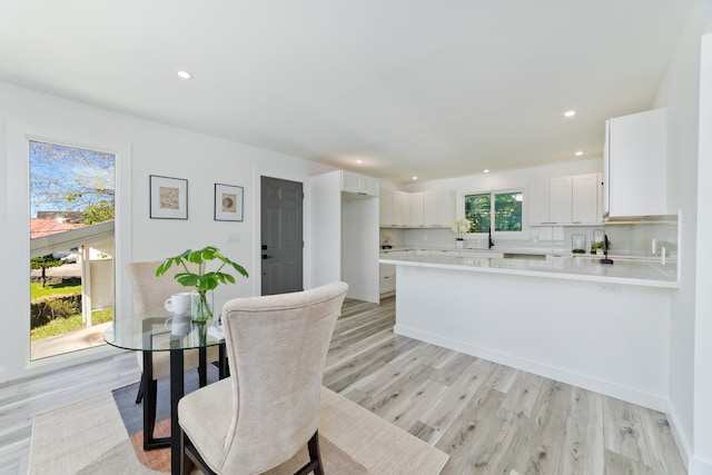 dining space featuring light hardwood / wood-style flooring and plenty of natural light