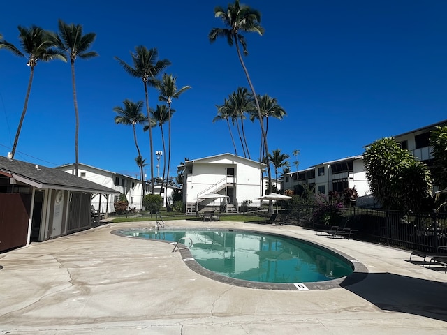 view of pool with a patio area