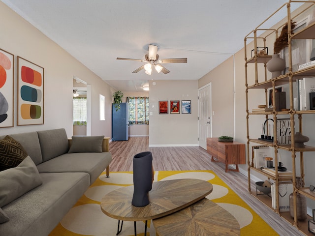 living room featuring ceiling fan and light hardwood / wood-style floors