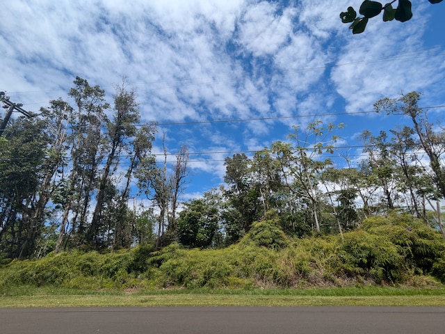 Listing photo 3 for S Maikoiko St, Pahoa HI 96778