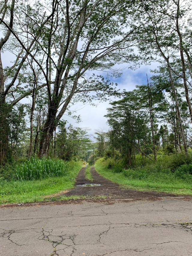 Listing photo 2 for Lehua Rd, Pahoa HI 96778