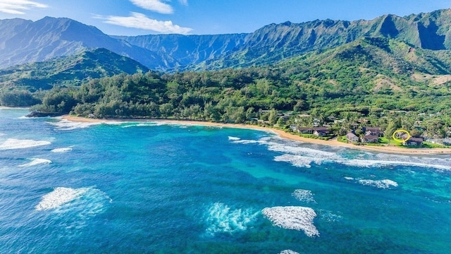 bird's eye view featuring a water and mountain view