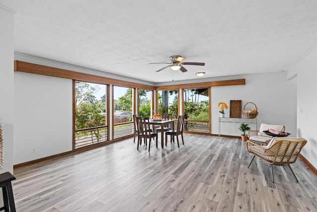 dining space featuring ceiling fan, light hardwood / wood-style flooring, and a textured ceiling