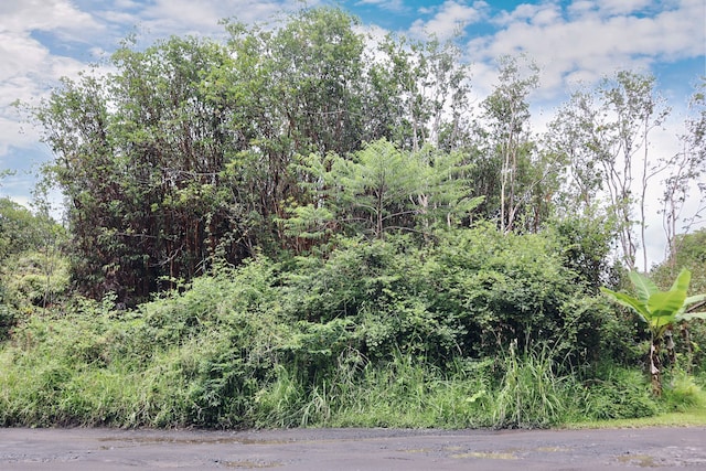 Oahu St, Mountain View HI, 96771 land for sale