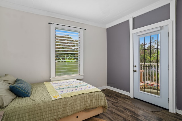 bedroom featuring crown molding, dark wood-type flooring, and access to exterior