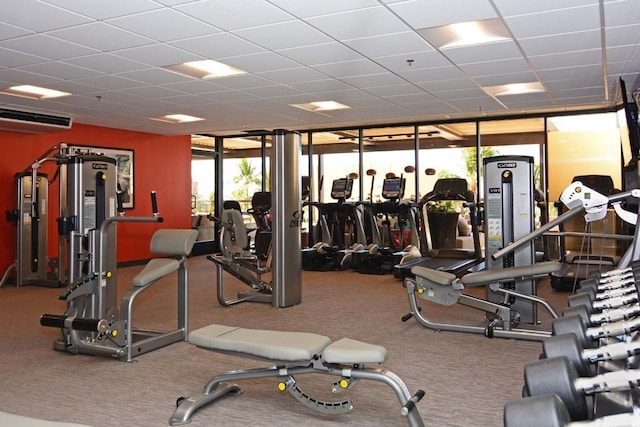 exercise room featuring carpet, floor to ceiling windows, and a paneled ceiling