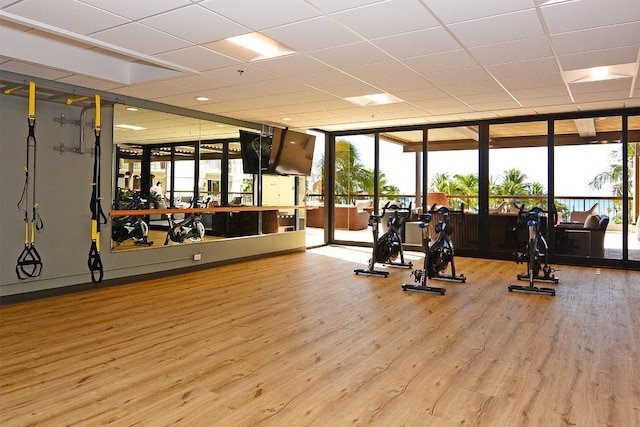 workout area with a wall of windows and wood-type flooring