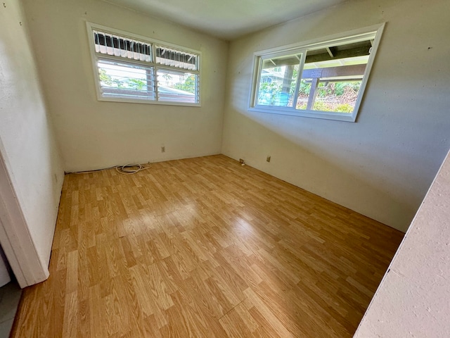 spare room featuring light wood-type flooring