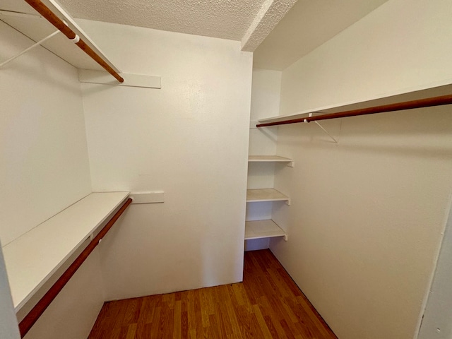 spacious closet with hardwood / wood-style flooring