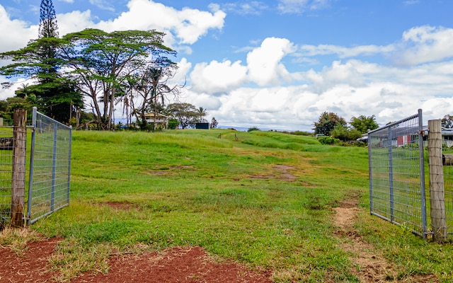 view of yard with a rural view