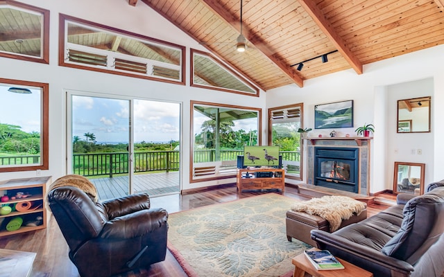 living room with hardwood / wood-style floors, high vaulted ceiling, and a wealth of natural light