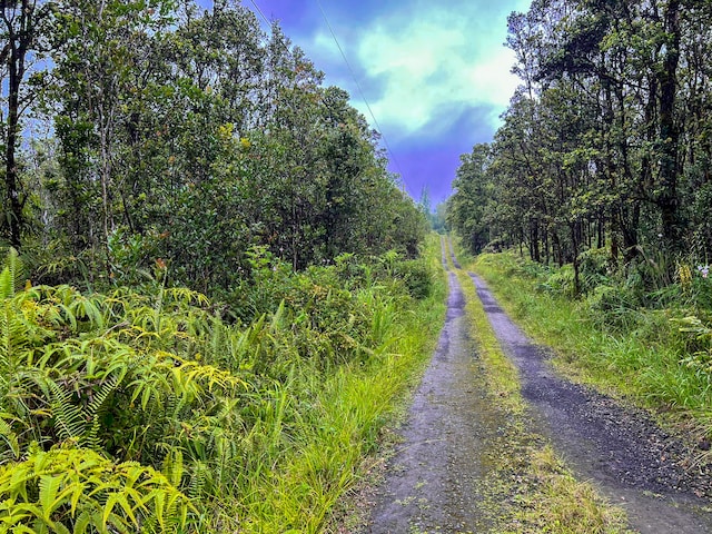 11-2688 Kilinahe Rd, Volcano HI, 96785 land for sale