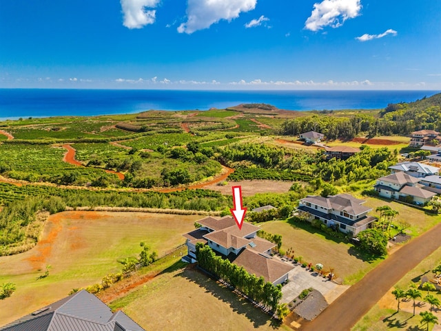 aerial view with a water view