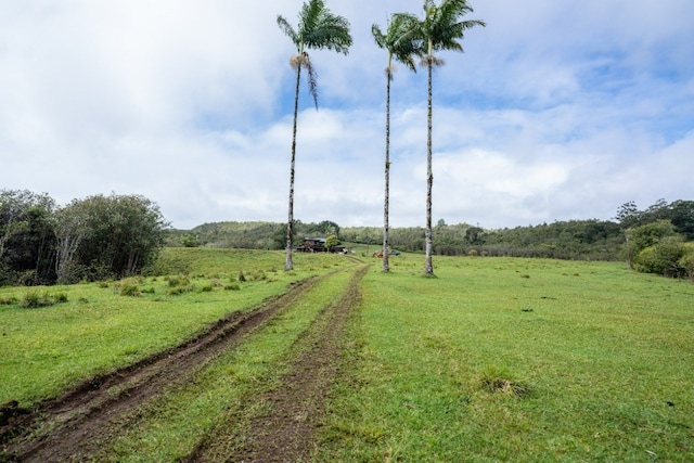 view of home's community featuring a lawn and a rural view