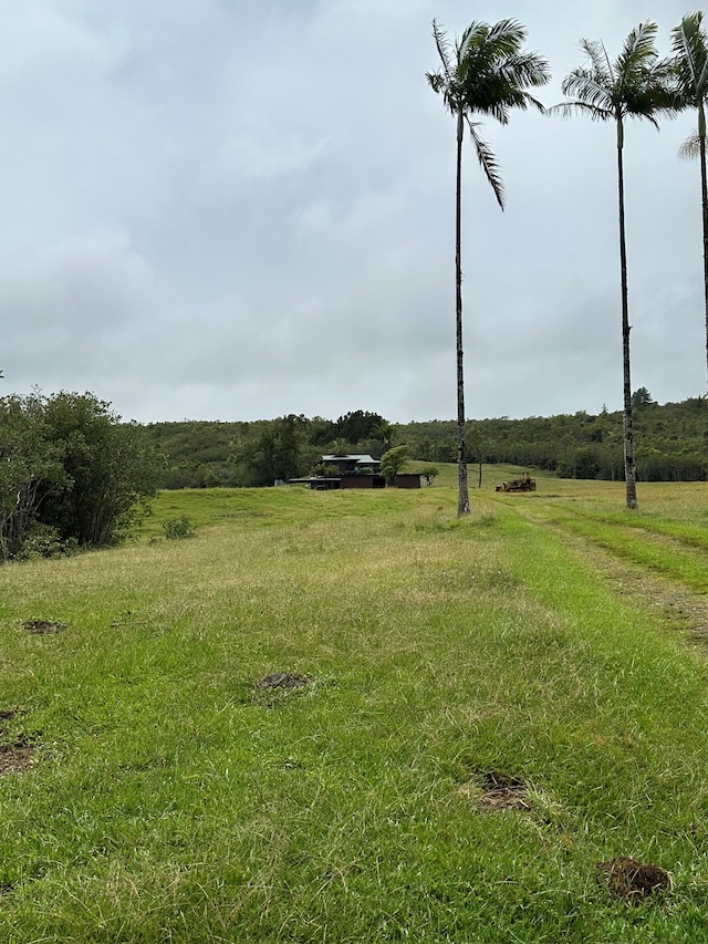 view of yard featuring a rural view