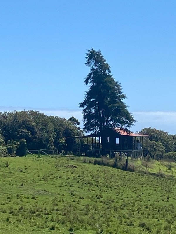 view of yard featuring a rural view