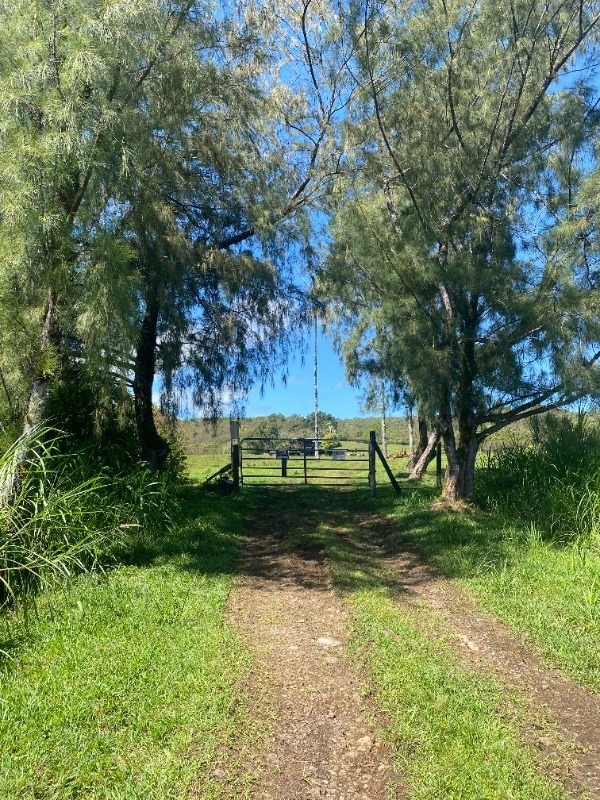 view of road