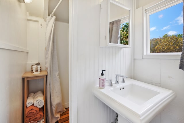 bathroom featuring wood-type flooring and sink