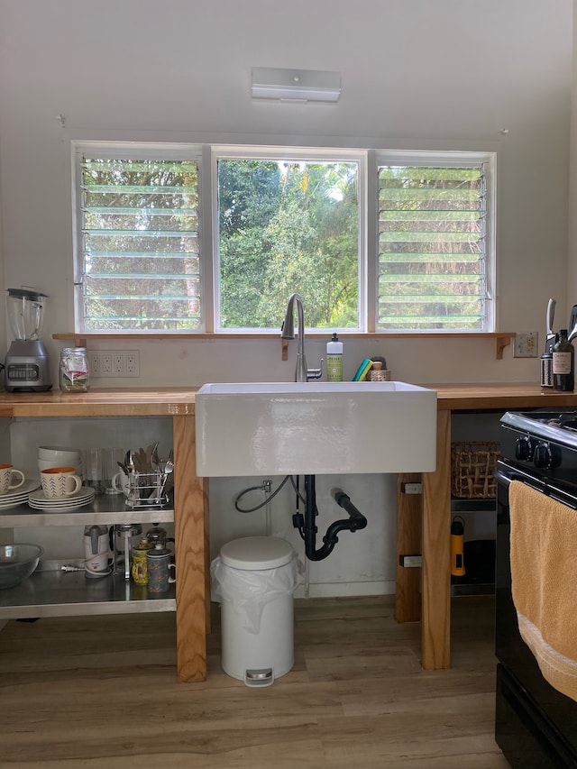 interior space with wood-type flooring, sink, and electric range