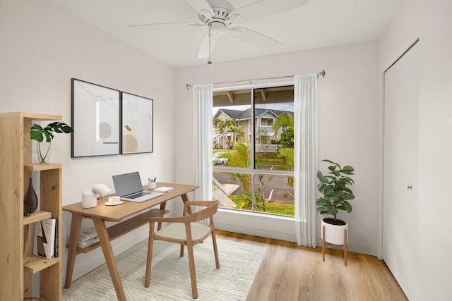 office space with ceiling fan, a healthy amount of sunlight, and light hardwood / wood-style flooring