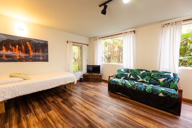 bedroom featuring hardwood / wood-style floors and track lighting