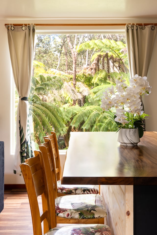 dining area featuring a wealth of natural light and light hardwood / wood-style flooring