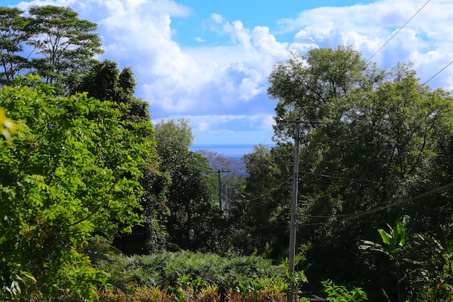 view of local wilderness