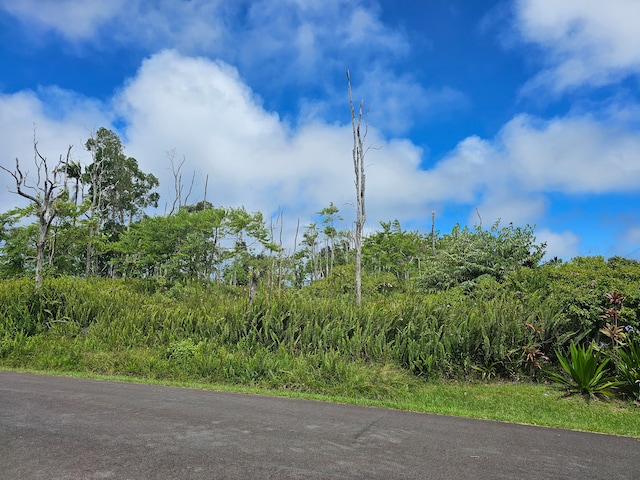 Listing photo 3 for Luana St, Pahoa HI 96778