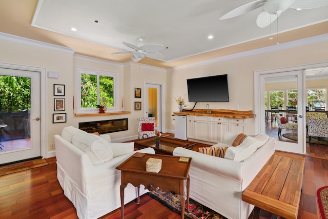 living room with crown molding, dark wood-type flooring, ceiling fan, and a fireplace