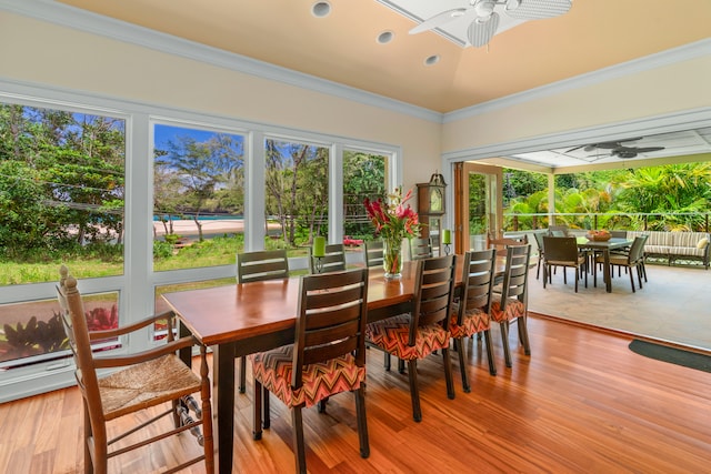 dining area featuring crown molding, ceiling fan, and hardwood / wood-style flooring